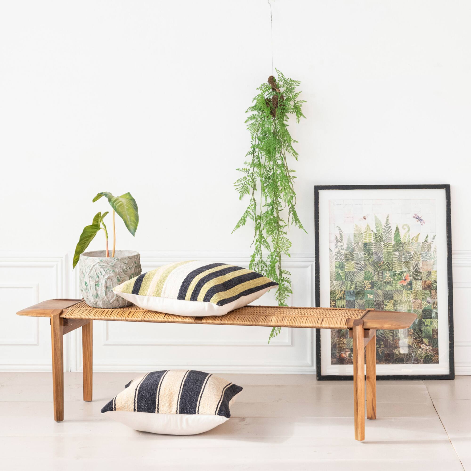 Hello Honey® 44" Verdant Green Hanging Kokedama